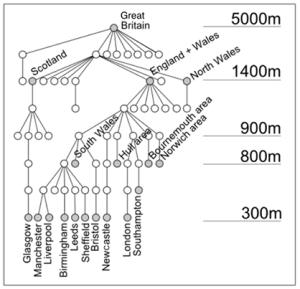 TreeDiagram